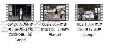2403272 雷小翼 天人功法（上）：返先天【开悟视角：千年之最养生功，可传后世千年】插图