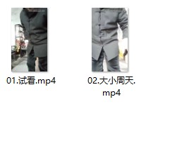 古传大小周天2视频文件插图