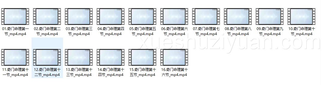 林沐雨奇门命理视频16集插图